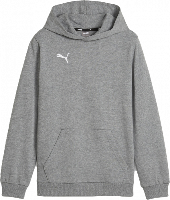 Puma - Teamgoal Casual Hoodie Kids - Grey Heather & wit